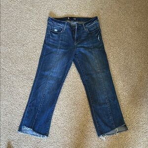 Kut from the Kloth Blue Flare Wide Leg Jeans